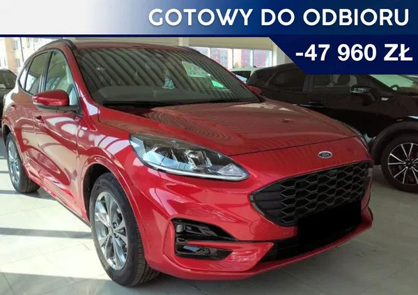 ford śląskie Ford Kuga cena 140900 przebieg: 1, rok produkcji 2023 z Chorzów